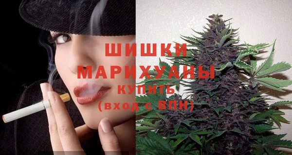 Альфа ПВП Аркадак