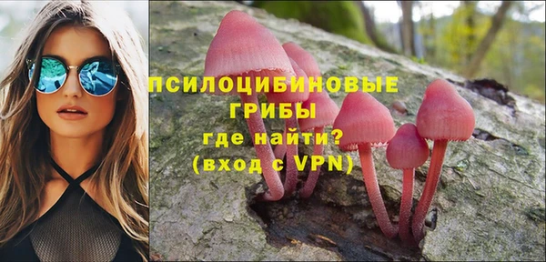 Альфа ПВП Аркадак