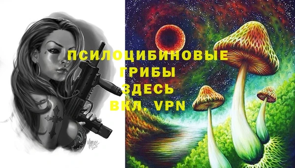 Альфа ПВП Аркадак