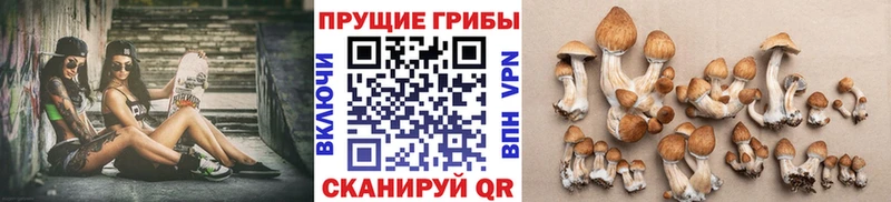 Галлюциногенные грибы Cubensis  Армянск 